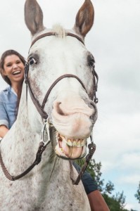 Sarah Floral Artist